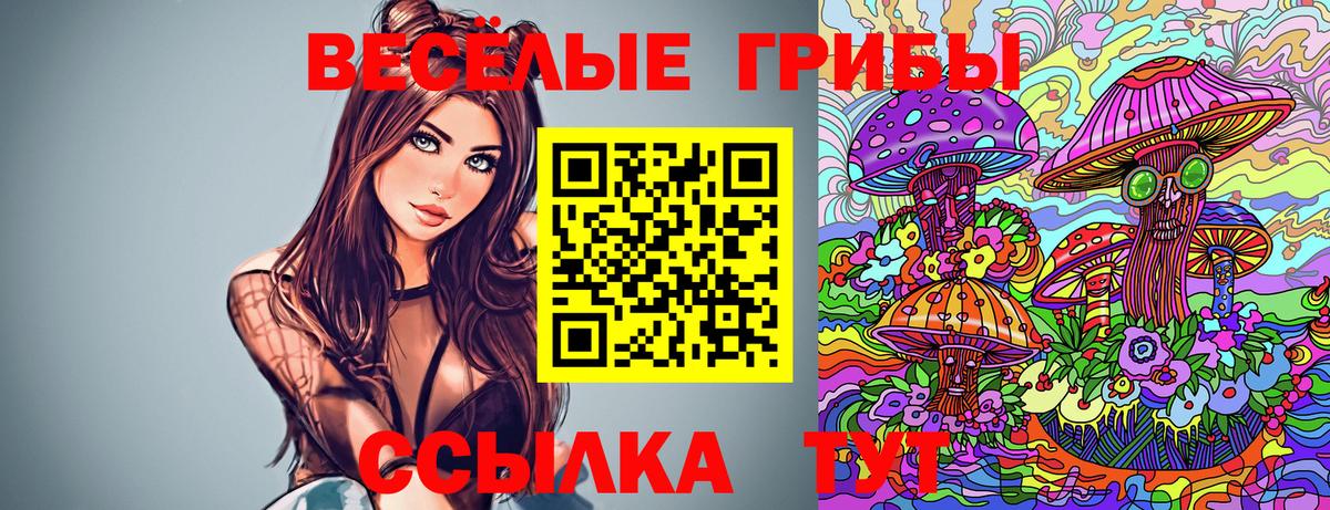 Псилоцибиновые грибы Cubensis Набережные Челны